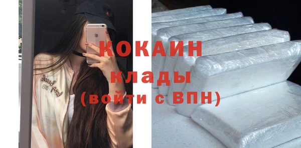 шишки Козельск
