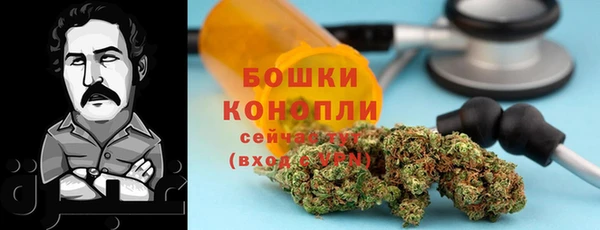 ГАЛЛЮЦИНОГЕННЫЕ ГРИБЫ Костерёво