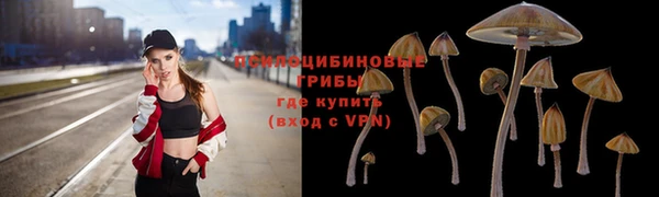 mdpv Корсаков