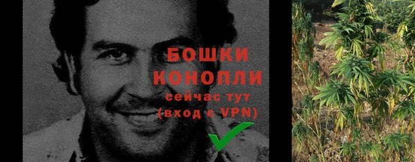 стаф Краснослободск