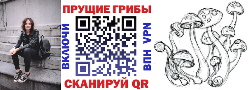 купить закладку  Кяхта  Псилоцибиновые грибы прущие грибы 
